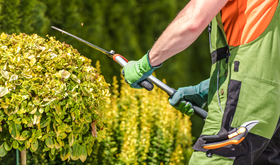 Publicadas en el DOE ayudas PCEM Empleo para que los ayuntamientos contraten desempleados