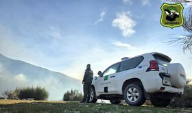 Incendio en Losar de la Vera ya ha afectado ya a 400 hectreas principalmente de matorral