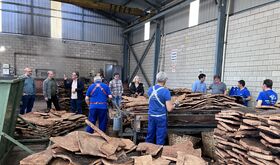 CICYTEX su une al proyecto internacional CorkMed para mejorar produccin y calidad corcho