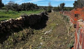 La Diputacin de Cceres acomete la limpieza de cauces en el casco urbano de Torremocha
