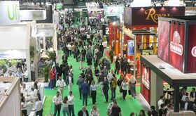 Una veintena de empresas hortofrutculas extremeas participarn en Fruit Attraction 2026