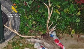 La Guardia Civil detiene a tres personas por caza furtiva en una finca de ZarzaCapilla 