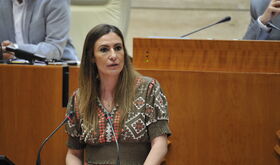 Rechazada una propuesta del PSOE para mantener el Programa de Lengua rabe