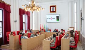 El Pleno Municipal de Mrida aprueba la Ordenanza reguladora de la Zona de Bajas Emisiones
