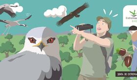 Extremadura se promociona como destino de turismo ornitolgico en la Global Birdfair 