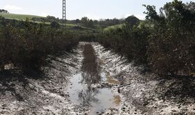 Gobierno abona 48 millones a agricultores y ganaderos por los daos de las borrascas