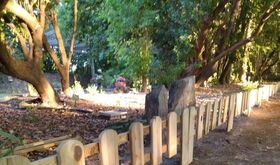 El Jardn Botnico de Coria inicia un proyecto de musealizacin