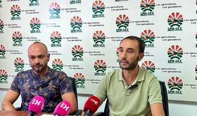UPAUCE urge incorporar una clusula en contratos de tomate que permita revisar el precio