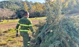 La Junta constituye las bolsas de empleo de las categoras de Bombero Forestal