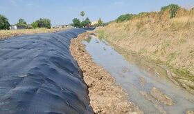 CHG culmina eliminacin de la caa comn en el arroyo Albarregas a su paso por Trujillanos