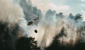 El Plan Infoex intervino en 20 incendios forestales en la ltima semana