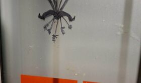 PSOE de Coria denuncia ante la Guardia Civil aparicin de pintadas fascistas en su sede