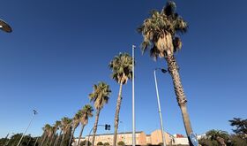 PSOEBadajoz ve insuficiente informacin arbolado afectado obras parking Circunvalacin