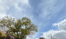 Ayuntamiento Cceres intensifica los trabajos de desbroce y mantenimiento en Aldea Moret