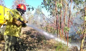 Publicada en el DOE convalidacin decreto ayudas para recuperacin de zonas tras incendios