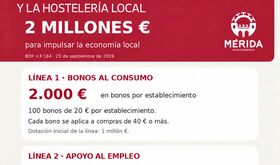 Comercios autnomos y pymes de Mrida pueden an solicitar las ayudas municipales