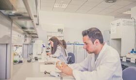 El 782 de los titulados de la UEx en el curso 20222023 tiene trabajo