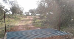 El Consejo de Gobierno declara el Parque Periurbano de Conservacin y Ocio Dehesa Boyal de Aceituna