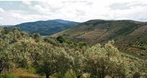 El Consejo de Gobierno aprueba definitivamente el Plan Territorial de Sierra de Gata