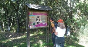 Suben pernoctaciones turistas extranjeros en zona Euroace 