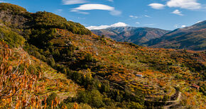 El Valle del Jerte es el destino preferido de los espaoles para pasar la primavera segn PANGEA