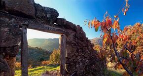 La Junta convoca ayudas destinadas a inversiones en zonas rurales de la comarca Valle del Jerte por 600000 euros