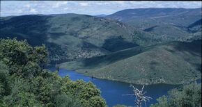 La reserva natural de Monfrage celebra 10 aos como Parque Nacional