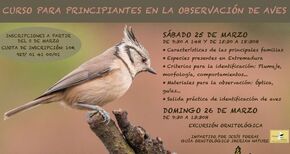 El Centro de Educacin Ambiental de Cuacos de Yuste oferta un curso sobre observacin de aves