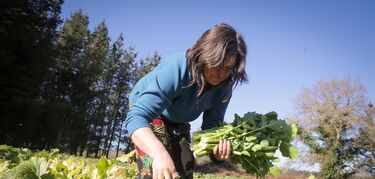 Campaña de FEXAMUR busca visibilizar papel de las mujeres en el sector agroalimentario