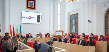 El pleno de Mérida, a excepción de Vox, suscribe una declaración institucional por el 8M