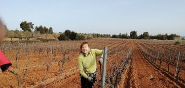 La Eurocámara pide más financiación y garantías para las mujeres en áreas rurales