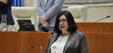 Justa Núñez Chaparro toma posesión como nueva diputada del PSOE