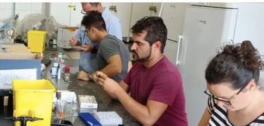 Estudio UEX revela que un avión común podría contribuir transmisión virus aves a humanos