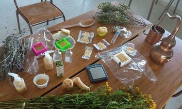 Un taller abordará en el CFMR de Moraleja el uso tradicional de plantas silvestres
