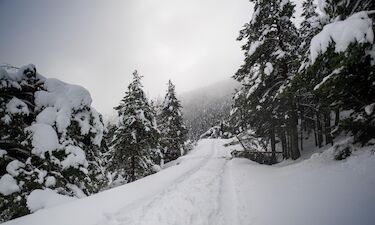 Enero se despide con lluvias y febrero sigue con precipitaciones, nieve y olas de 9 metros