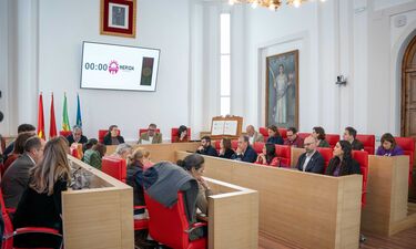 El pleno de Mérida, a excepción de Vox, suscribe una declaración institucional por el 8M