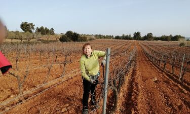 La Eurocámara pide más financiación y garantías para las mujeres en áreas rurales