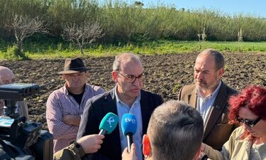 Mateos: Dania Dévora tendrá 