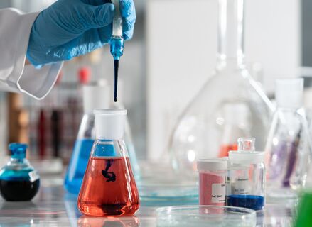 Proyecto Extremadura financiar estancias internacionales para jvenes investigadores