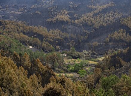 Entra en vigor decreto Junta que destina 10M ayudas para afectados por incendios Hurdes