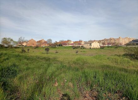 El Puente de Diciembre ser estable y clido para la poca con hasta 24C en Mediterrneo