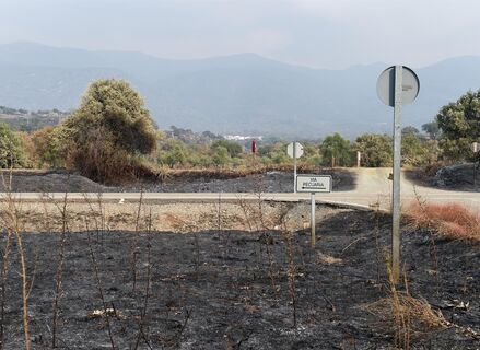 Vox El campo est en una situacin crtica y aboga por soluciones reales contra incendios