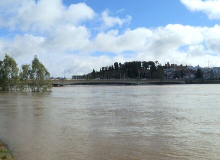 Cortado de nuevo el Puente de la Autonoma en Badajoz por la subida del ro Guadiana