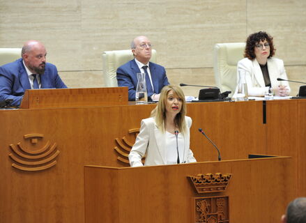 PSOE pide a Guardiola convoque elecciones y ponga fin callejn sin salida