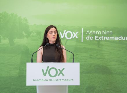 Vox Enmiendas a totalidad PSOE y Unidas estn vacas de propuestas y llenas de ideologa