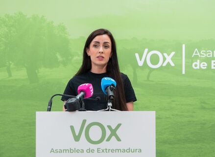 Vox pide el despliegue de las fuerzas armadas en las fronteras de Ceuta y Melilla