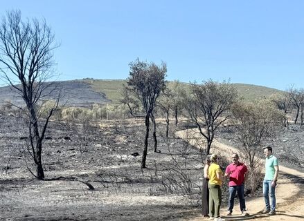 Diputacin Cceres colaborar en recuperar zonas de incendio de Mirabel y Casas de Milln