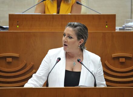 PSOE pide a Junta que deje de gestionar los servicios pblicos a golpe de improvisacin