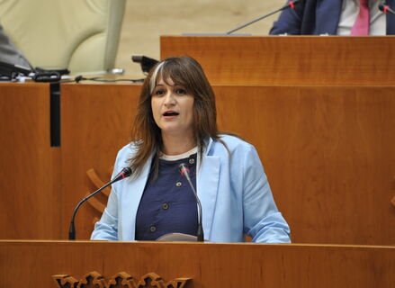 PSOE critica falta de acompaamiento de Junta al proyecto de gigafactora de Navalmoral