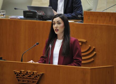 Vox acusa al PSOE de hacer un ejercicio de pereza poltica con presentacin de enmienda